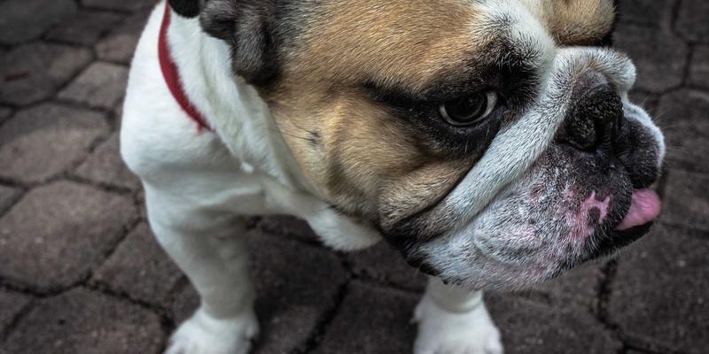 探索非洲食品77：如何通过进口商品打开异国美食的新世界