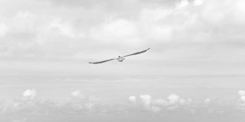 搜非食品:探索非洲美食的独特魅力与进口商机