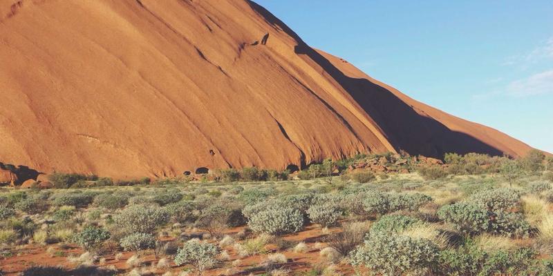 搜非食品:探索非洲进口食品的独特魅力与市场机遇