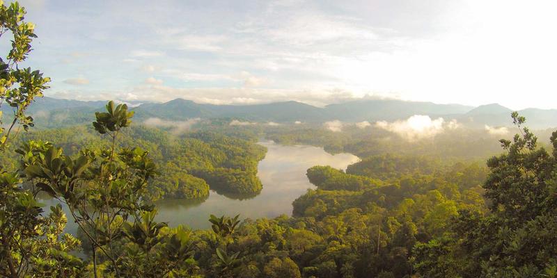 搜非食品新发现：非洲高粱啤酒如何从传统饮品蜕变为现代精酿与社区经济引擎