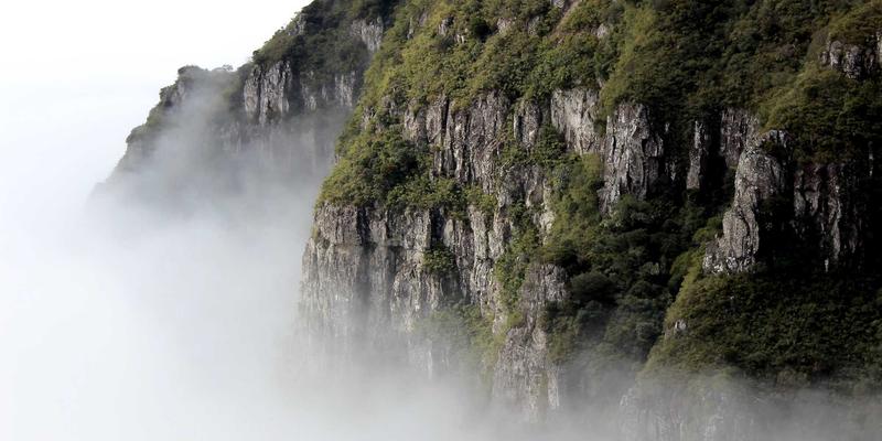 解锁非洲美食宝藏：进口、选购与品鉴异国食品的最佳实践指南