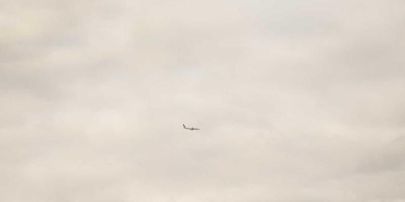 非洲乳木果油：从传统护肤圣品到全球追捧的超级食物与进口美食