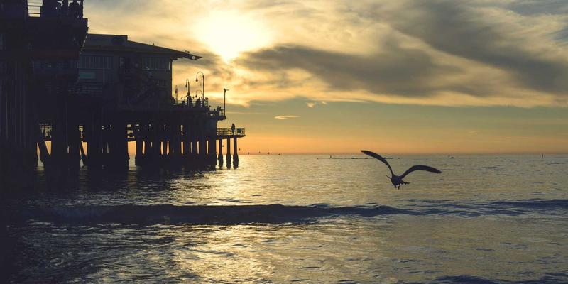 非洲美食28：探索异国风味与特色食品的味觉之旅
