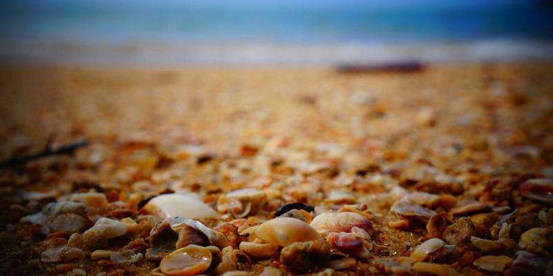 非洲美食：一场唤醒味蕾的异国食品探索之旅