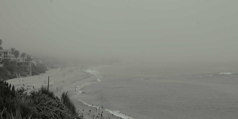 非洲美食的全球之旅:进口食品如何重塑我们的餐桌与文化认知