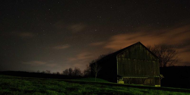 非洲超级谷物苔麸：解锁异国食品的营养密码与英吉拉饼的制作奥秘