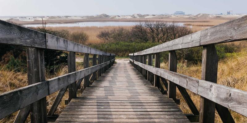 非洲辣椒传奇：从鸟眼辣椒到霹雳椒的异国食品文化与酱料制作