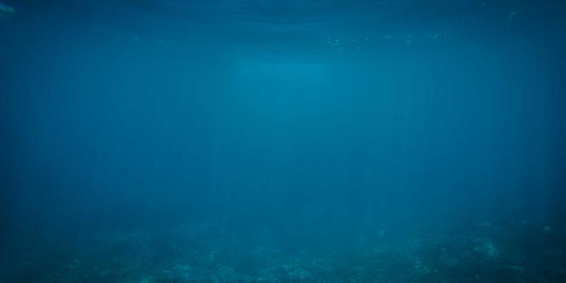 非洲食品23:探索异国食品的宝藏,揭秘搜非食品与非洲美食的独特魅力