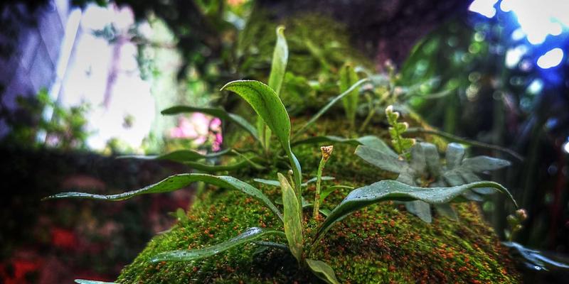 非洲食品38：探索非洲大陆的进口美食与特色物产