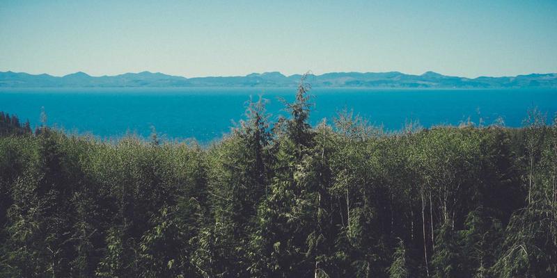 非洲食品45：穿越味蕾的异国之旅，探索非洲美食的独特魅力