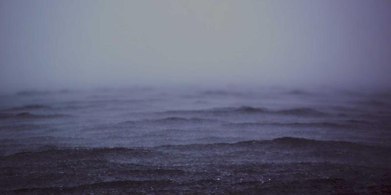 非洲食品63:探索非洲美食的独特魅力与进口商机