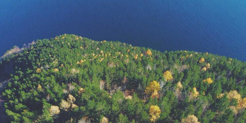 非洲食品71：探索异国风味，揭秘搜非食品的文化密码