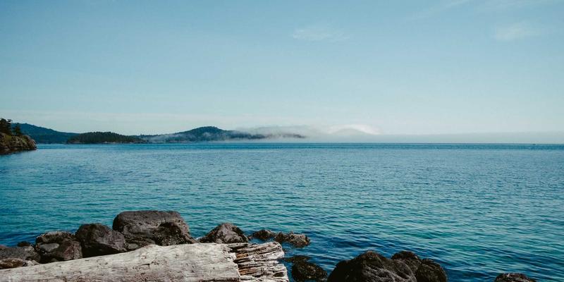 非洲高粱：从抗旱作物到进口食品新宠，如何引领异国食品酿造与无麸质烘焙创新